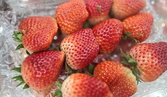 Dâu tây Sơn La 'nhuộm đỏ' chợ Việt