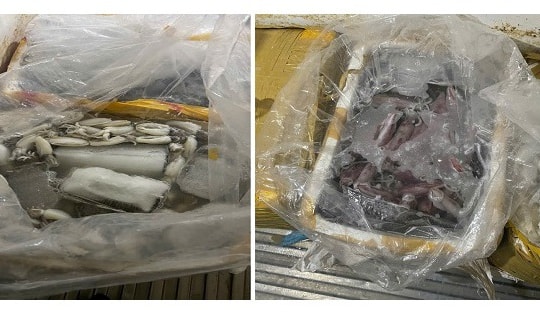 Ngăn chặn hơn 580kg thủy sản không rõ nguồn gốc sắp đưa ra thị trường