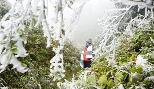Hàng loạt tỉnh miền Bắc rét đỉnh điểm