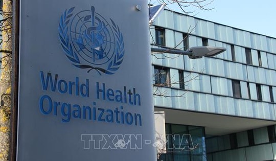 Liên hợp quốc xác nhận việc Mỹ rút khỏi WHO