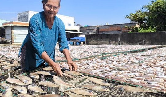 Làng nghề cá khô ven biển tăng công suất gấp 3 lần phục vụ Tết
