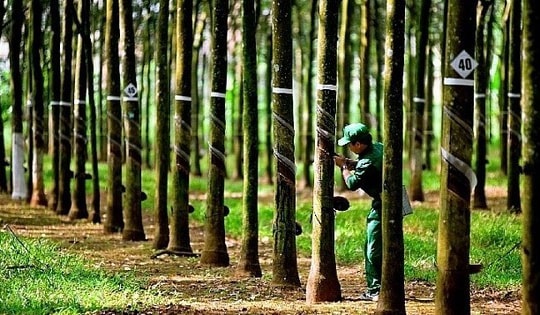 Cổ phiếu PHR được khuyến nghị mua