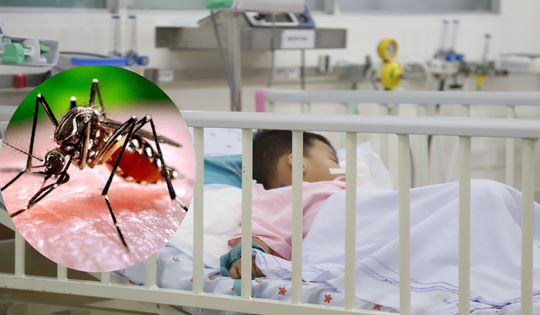 Số ca mắc sốt xuất huyết, tay chân miệng ở TPHCM giảm nhưng nguy cơ vẫn hiện hữu