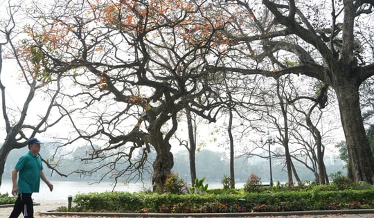 Miền Bắc ấm dần từ nay đến cuối tháng 1