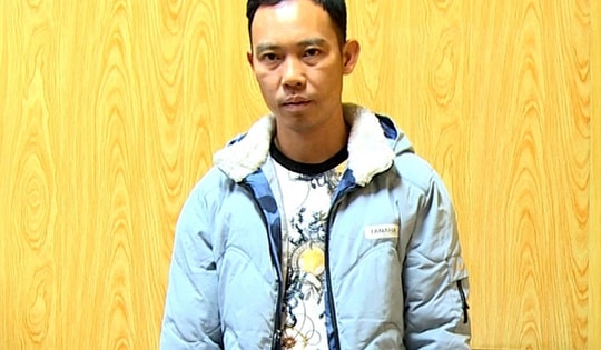 Liên tiếp bắt giữ các vụ vận chuyển động vật quý hiếm