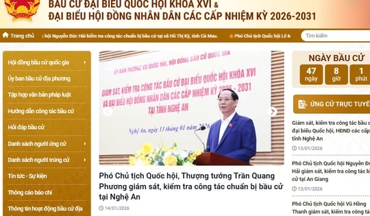 Hướng dẫn kê khai hồ sơ ứng cử ĐBQH khóa XVI, đại biểu HĐND trực tuyến