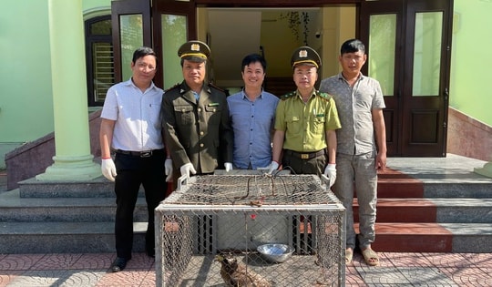 Tiếp nhận, tái thả nhiều cá thể động vật hoang dã quý hiếm ở Huế