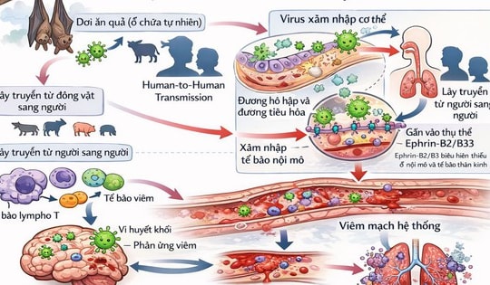 Virus Nipah - cơ chế gây bệnh và các biện pháp phòng ngừa