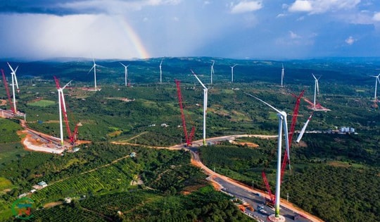 Điện gió Trung Nam Đắk Lắk 1 vi phạm chứng khoán
