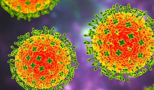 Bộ Y tế: Việt Nam chưa ghi nhận trường hợp mắc bệnh do virus Nipah