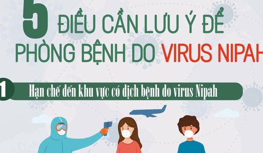 [Infographic] - 5 điều cần lưu ý để phòng bệnh do virus Nipah
