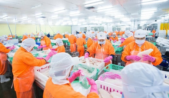 BSC đánh giá cao tiềm năng của cổ phiếu ANV