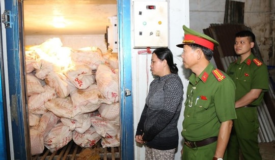 Bắt tạm giam đối tượng tiêu thụ khoảng 12 tấn thịt lợn nhiễm dịch tả châu Phi