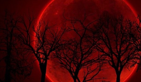 Mặt Trăng sẽ có màu đỏ như máu trong lần trăng tròn đầu tiên của năm 2026