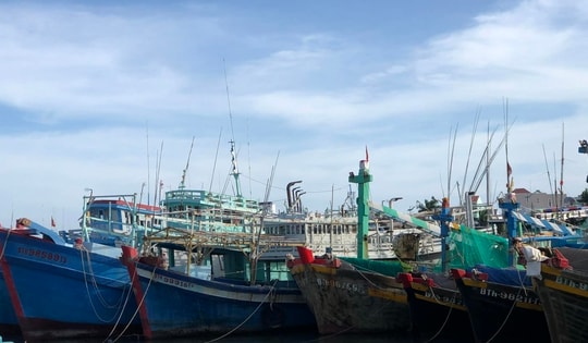 Hai tàu cá ở Lâm Đồng bị xử phạt 154 triệu đồng