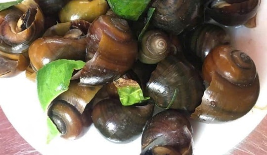 Cách chọn ốc làm sẵn ngon sạch, không 'ngậm' hóa chất cho bữa cơm gia đình