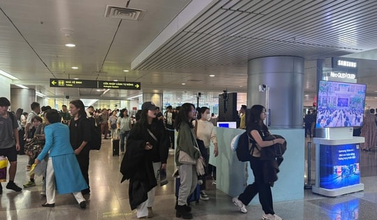 TPHCM tăng cường phòng bệnh do virus Nipah ngay từ cảng hàng không quốc tế Tân Sơn Nhất