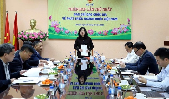 Phiên họp lần thứ nhất Ban chỉ đạo Quốc gia về phát triển ngành Dược Việt Nam