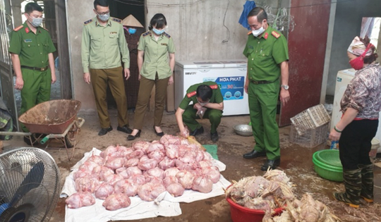 Nhận diện thực phẩm bẩn dịp Tết Nguyên đán thế nào?