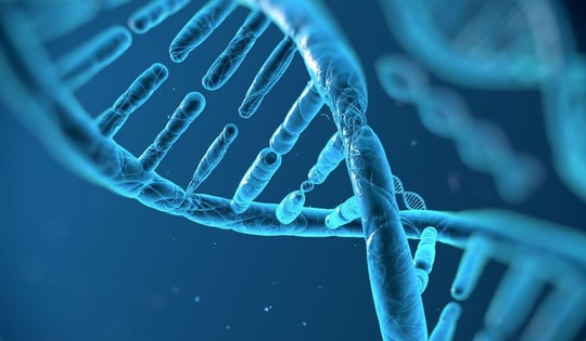 Bất ngờ gen di truyền là yếu tố chính quyết định tuổi thọ con người
