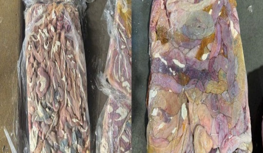 Phát hiện cơ sở chế biến thực phẩm bẩn, thu giữ hơn 60 tấn lòng lợn đông lạnh bốc mùi