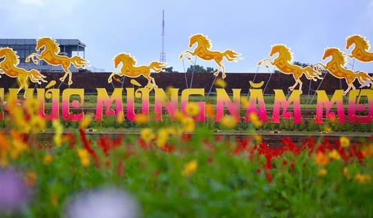 Choáng ngợp hình ảnh hàng vạn chậu hoa kết thành đóa sen khổng lồ ở Huế