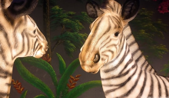 Cận cảnh một Safari huyền bí trên đỉnh Ô Quy Hồ