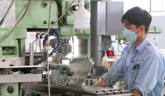 Tháng 1, số doanh nghiệp gia nhập và tái gia nhập thị trường tăng 62%