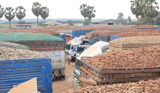 10 sự kiện kinh tế Việt Nam nổi bật tuần qua