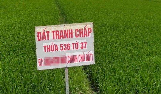 Đất tranh chấp: Những điểm người dân dễ nhầm lẫn