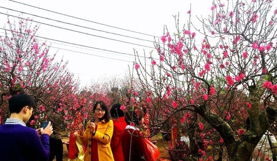 Thời tiết tháng 2 có những điểm khác biệt, Hà Nội nhiều ngày mưa phùn