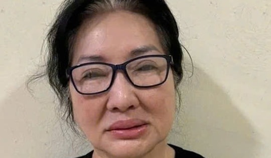 Truy tố cựu Chủ tịch Quốc Cường Gia Lai Nguyễn Thị Như Loan vụ sang tay 'đất vàng'