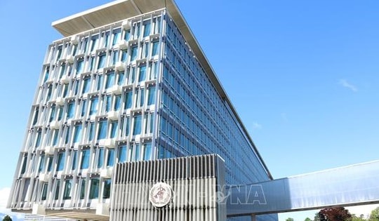 WHO: Cắt giảm tài trợ tạo cơ hội tái cấu trúc, xây dựng tổ chức tinh gọn hơn