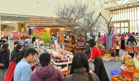 Khám phá không gian Hội chợ Mùa Xuân lần thứ nhất năm 2026, nhiều đặc sản địa phương hút khách