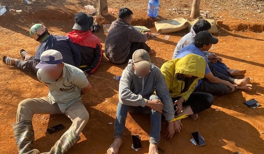 Triệt phá sới đá gà trong vườn cao su ở tỉnh Lâm Đồng