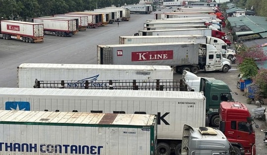 Phó Thủ tướng chỉ đạo cấp bách có hướng dẫn việc kiểm tra thực phẩm nhập khẩu