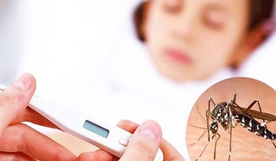 Dịch sốt xuất huyết gia tăng, ngành y tế Lâm Đồng siết chặt phòng, chống dịch