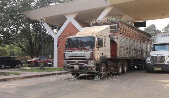 Bộ Công Thương ra công văn hướng dẫn việc kiểm tra an toàn thực phẩm nhập khẩu