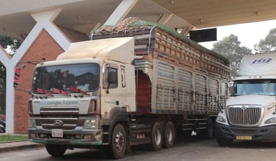 Thủ tướng chỉ đạo tháo gỡ ách tắc triển khai Nghị định 46/2026/NĐ-CP về an toàn thực phẩm