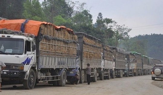 Thủ tướng chỉ đạo ban hành ngay Nghị quyết tháo gỡ vướng mắc liên quan đến Nghị định 46