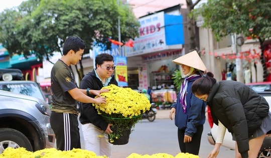 Hoa Tết 'xuống phố', Đắk Lắk ngập tràn sắc xuân