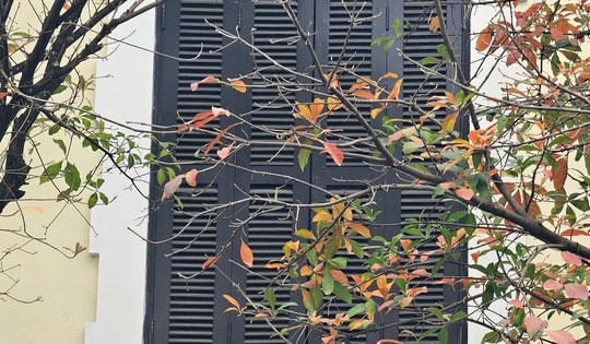 Miền Bắc nắng mạnh, nhiệt tăng cao trước khi đón không khí lạnh mạnh