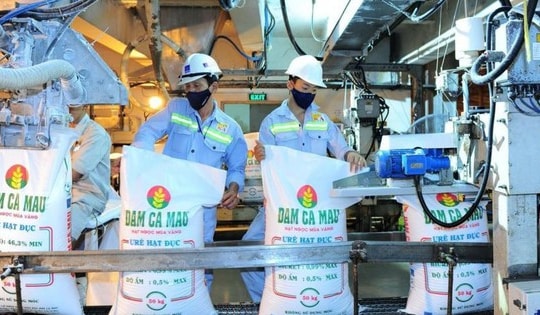 Yuanta Việt Nam kỳ vọng thị giá cổ phiếu DCM đạt 47.000 đồng