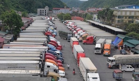 Dừng Nghị định số 46 về an toàn thực phẩm đến hết ngày 15/4/2026