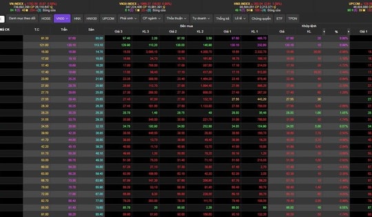 Cổ phiếu nhà Vingroup hút khách