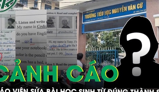 Cảnh cáo, cắt giảng dạy cô giáo tự ý sửa bài kiểm tra của học sinh từ đúng thành sai