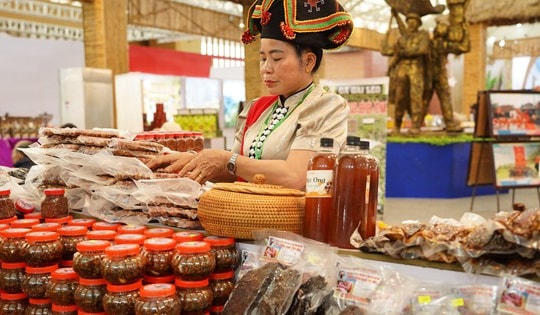 Gùi sản vật xuống phố quảng bá hương sắc vùng cao