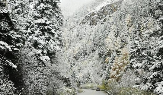 Vì sao Sa Pa ngày càng hiếm tuyết rơi?