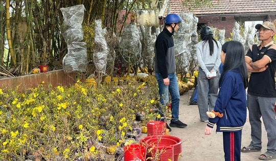 Đào quất xuống phố sớm, chợ Tết vẫn chưa đông