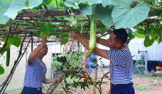 'Công viên xanh' giữa biển trời Tây Nam